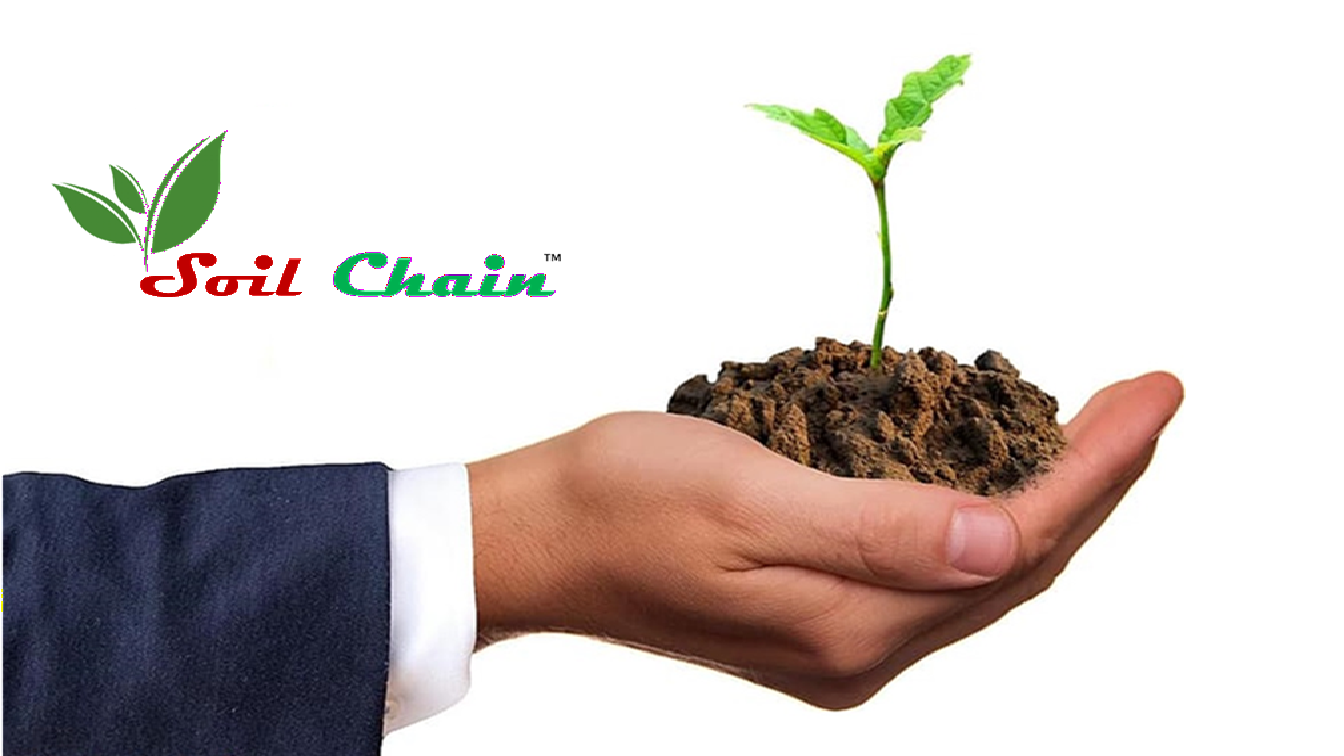 Hand holding soil with a young green seedling next to the Soil Chain logo, symbolizing sustainable agriculture and plant growth Hand holding soil with a young green seedling next to the Soil Chain logo, symbolizing sustainable agriculture and plant growth
