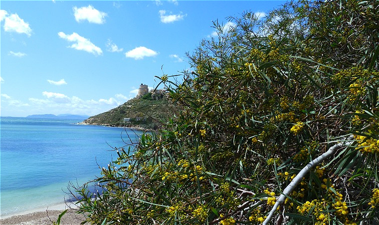 "Cala Mosca" - Maurenstrand
Die Südküste war stets ein beliebtes Angriffsziel maurischer Seeräuber