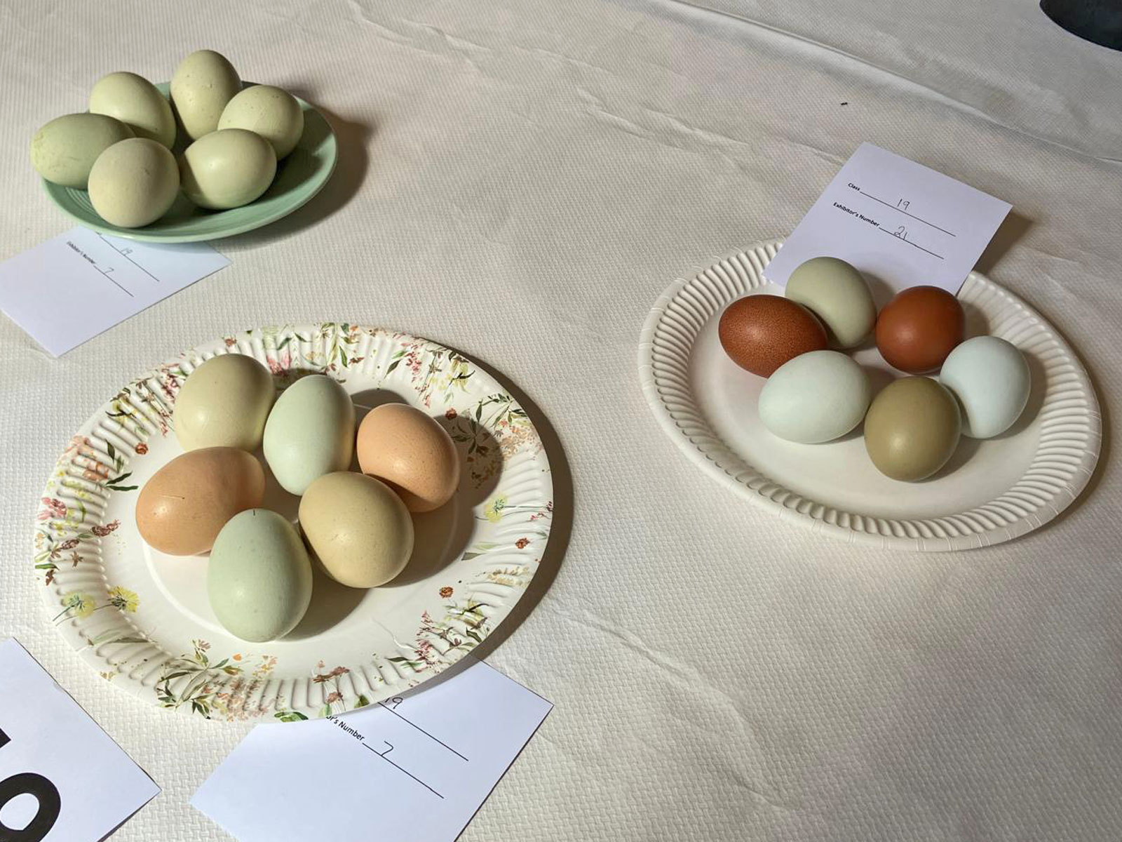 https://0501.nccdn.net/4_2/000/000/001/187/eggs.jpg