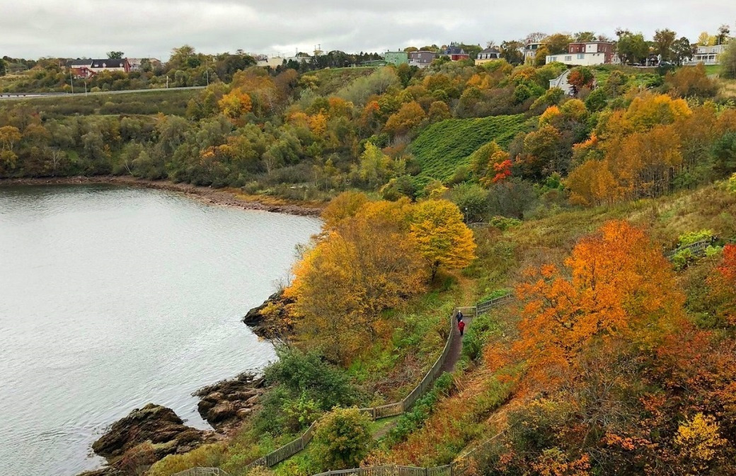 Herbstfarben am Saint John River