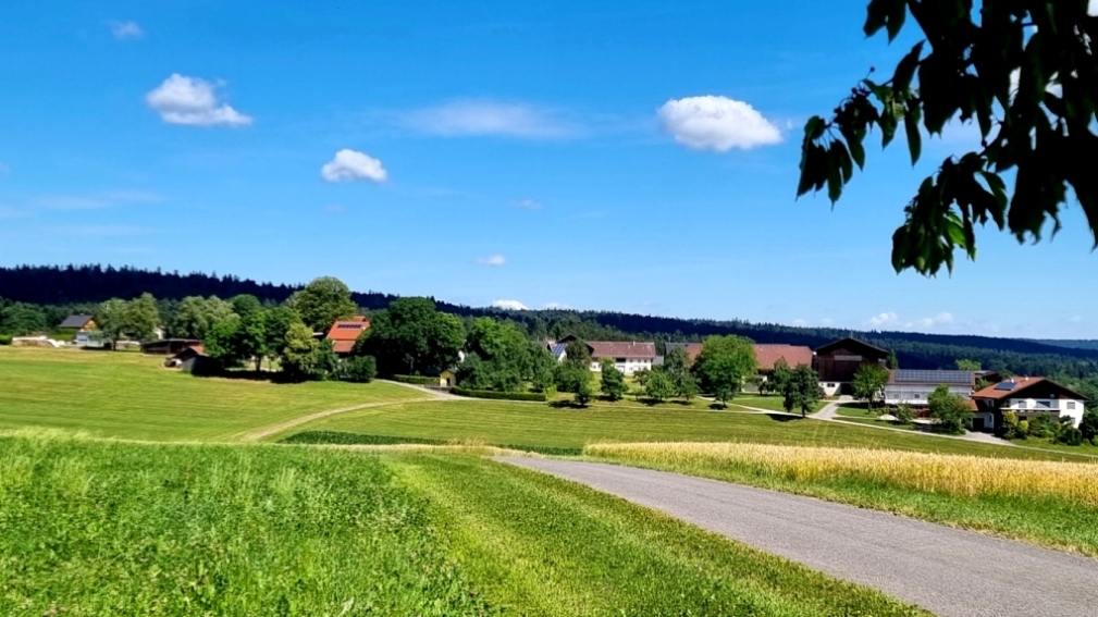Saxigen