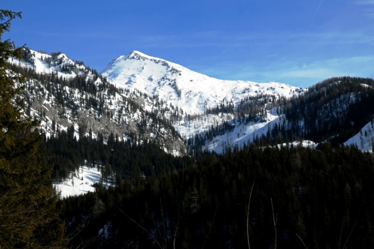 Vor uns der Elm 2.128 m