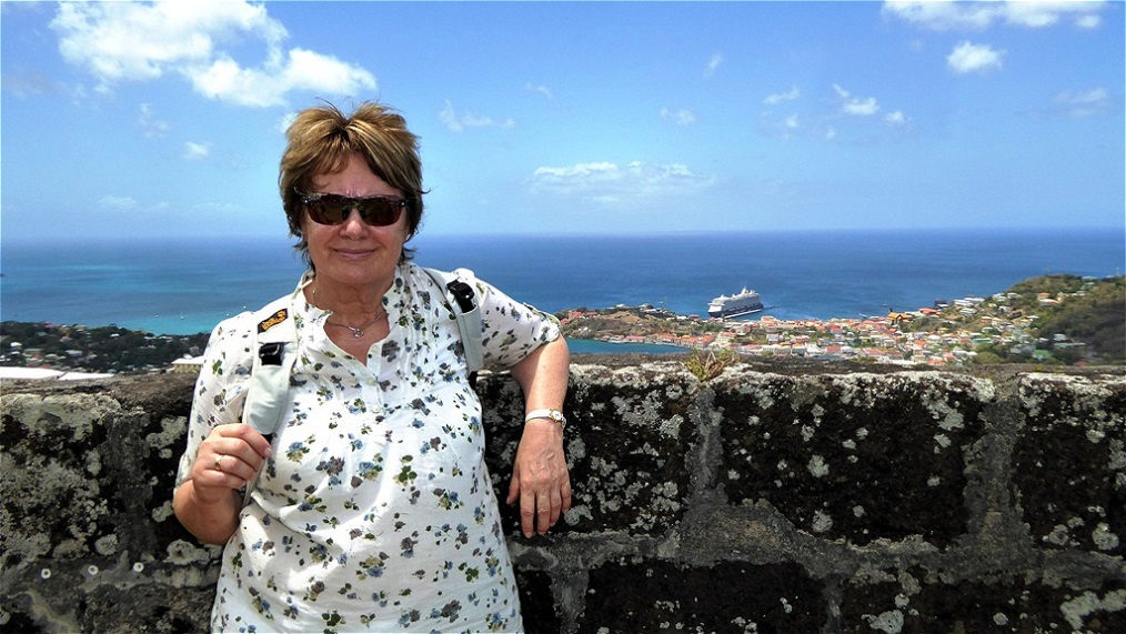 Hoch über Saint George's