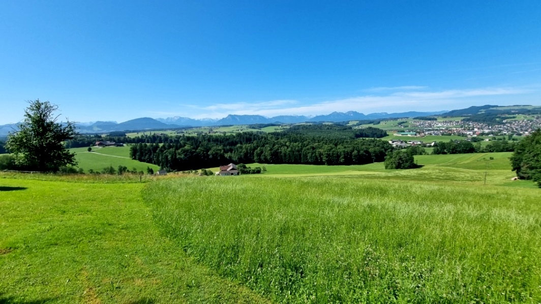 12 Juli 2021  - Schleedorf-Obertrum