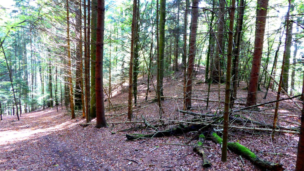 Rest der ehemals großen Wallanlage, der nach der Zerstörung durch die Ungarn heute noch zu sehen ist !