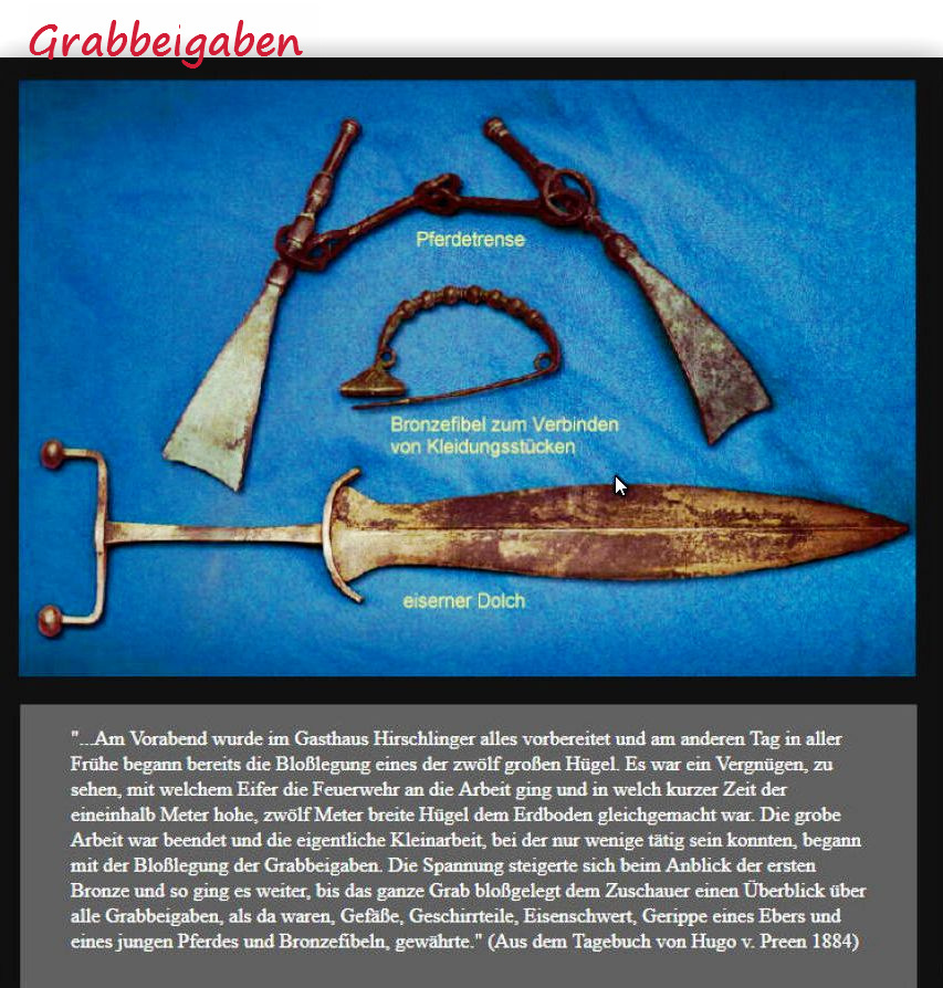 Grabbeigaben aus den Hügelgräbern beim Gänsfuß