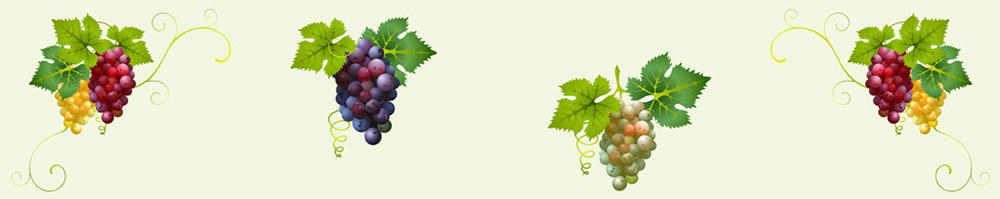 Grozdje in vino_A_008