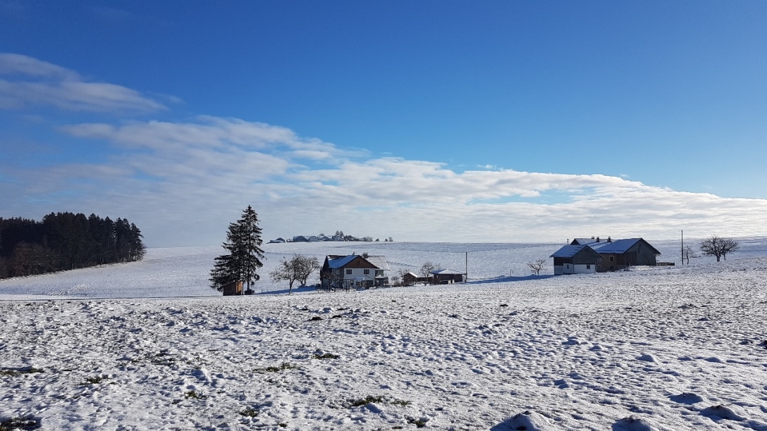 Am Horizont - Ortschaft Utzweih
