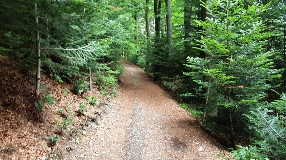 25. Juli 2020 Bibelweg - Hohes Kreuz - Burgstall auf dem Schlossberg