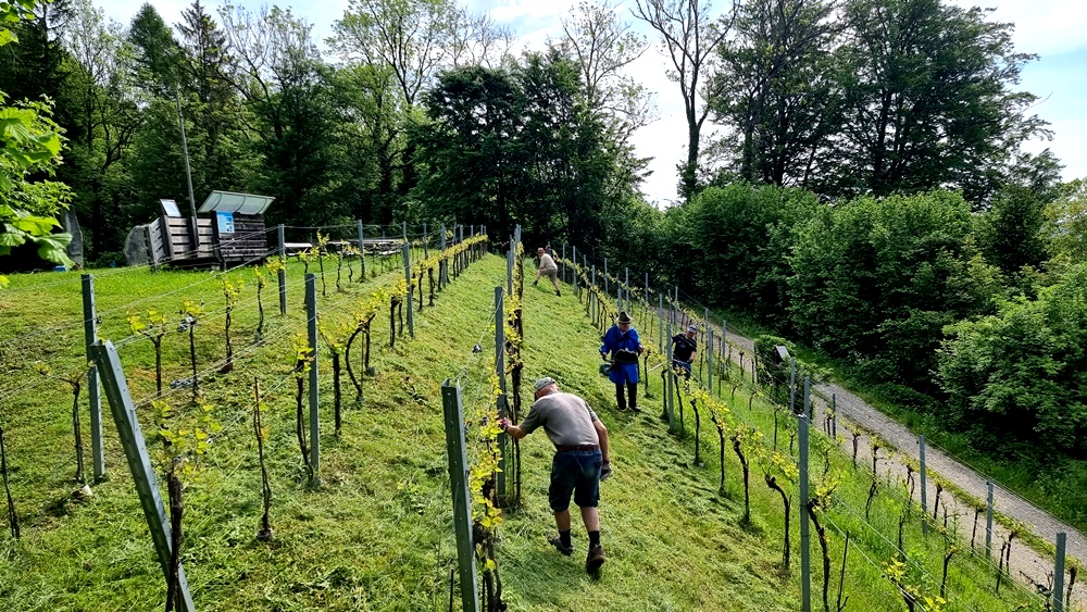 16. Mai 2022 - erste Grasmahd