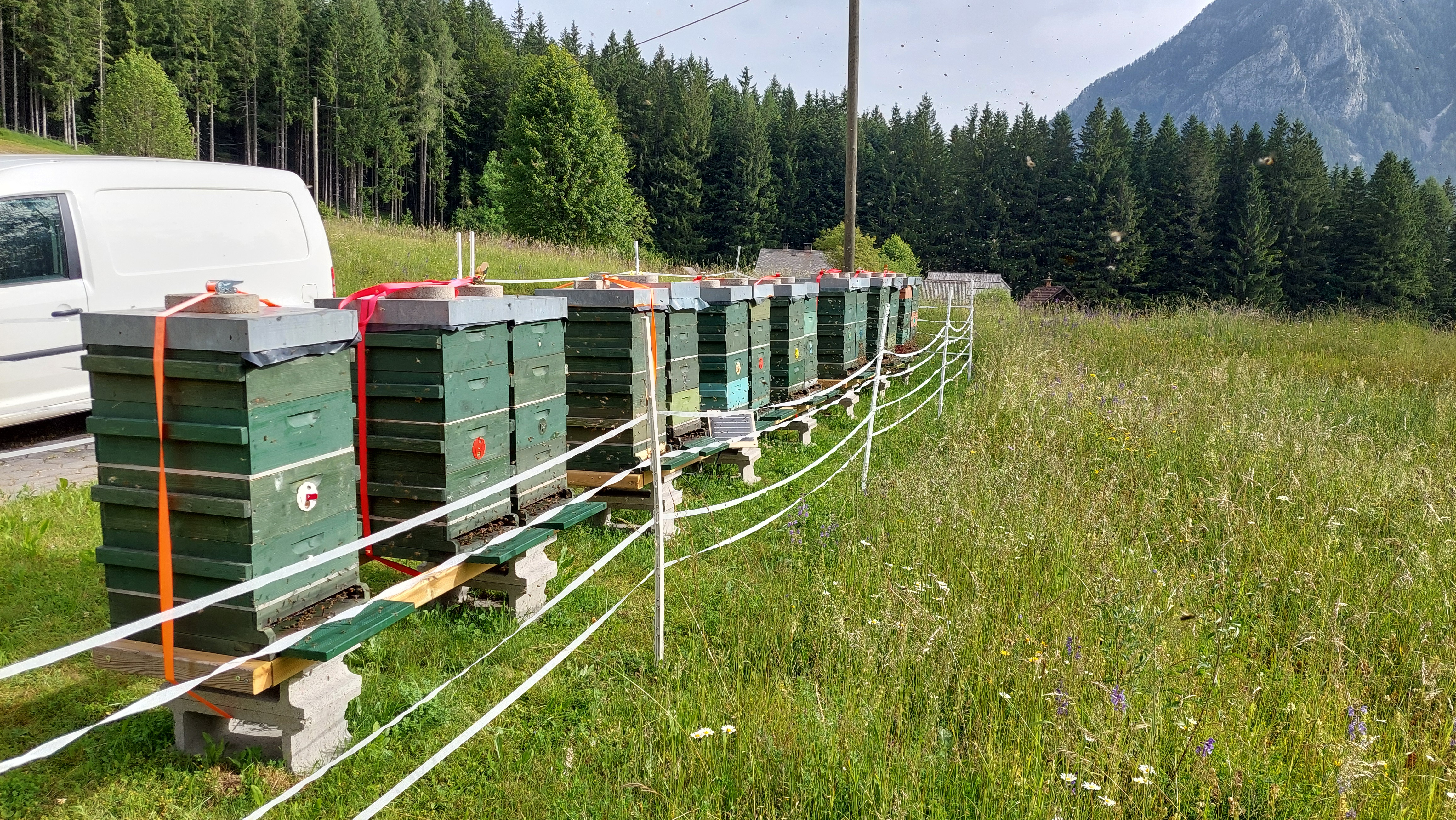 Bienenstand Karawanken
