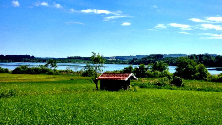 Am Grabensee Südufer