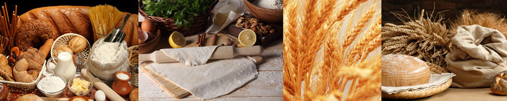 Kruh in klasje_B_002