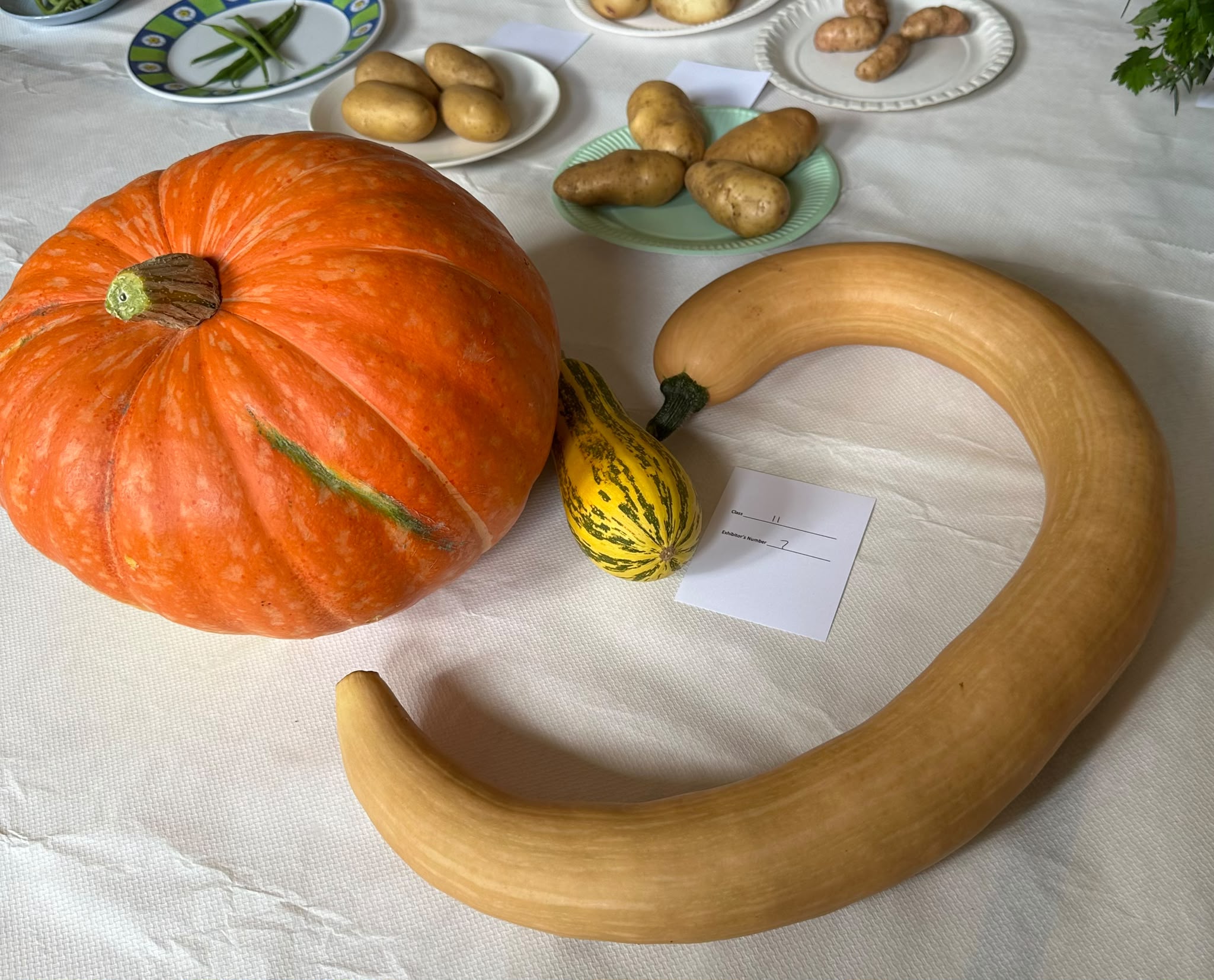 https://0501.nccdn.net/4_2/000/000/008/486/3-veg.jpeg