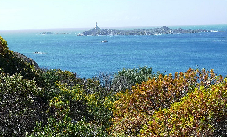 Blick zurück auf die Isola dei Cavoli