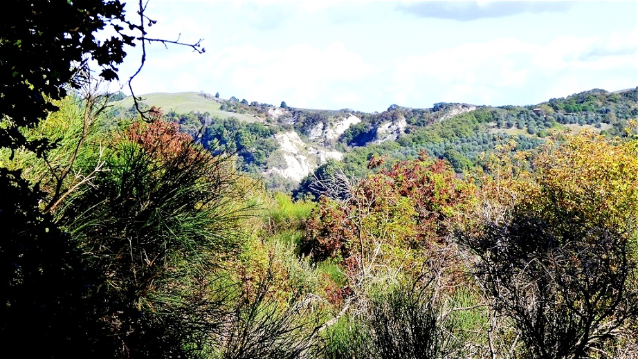 Tiefe Erosionsspuren kennzeichnen die Landschaft !