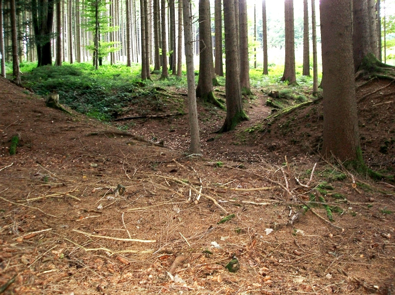 Die Bezeichnung "Keltenschanze" ist somit nicht belegbar !