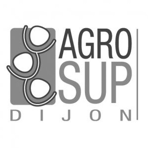 Exemple d'image logo