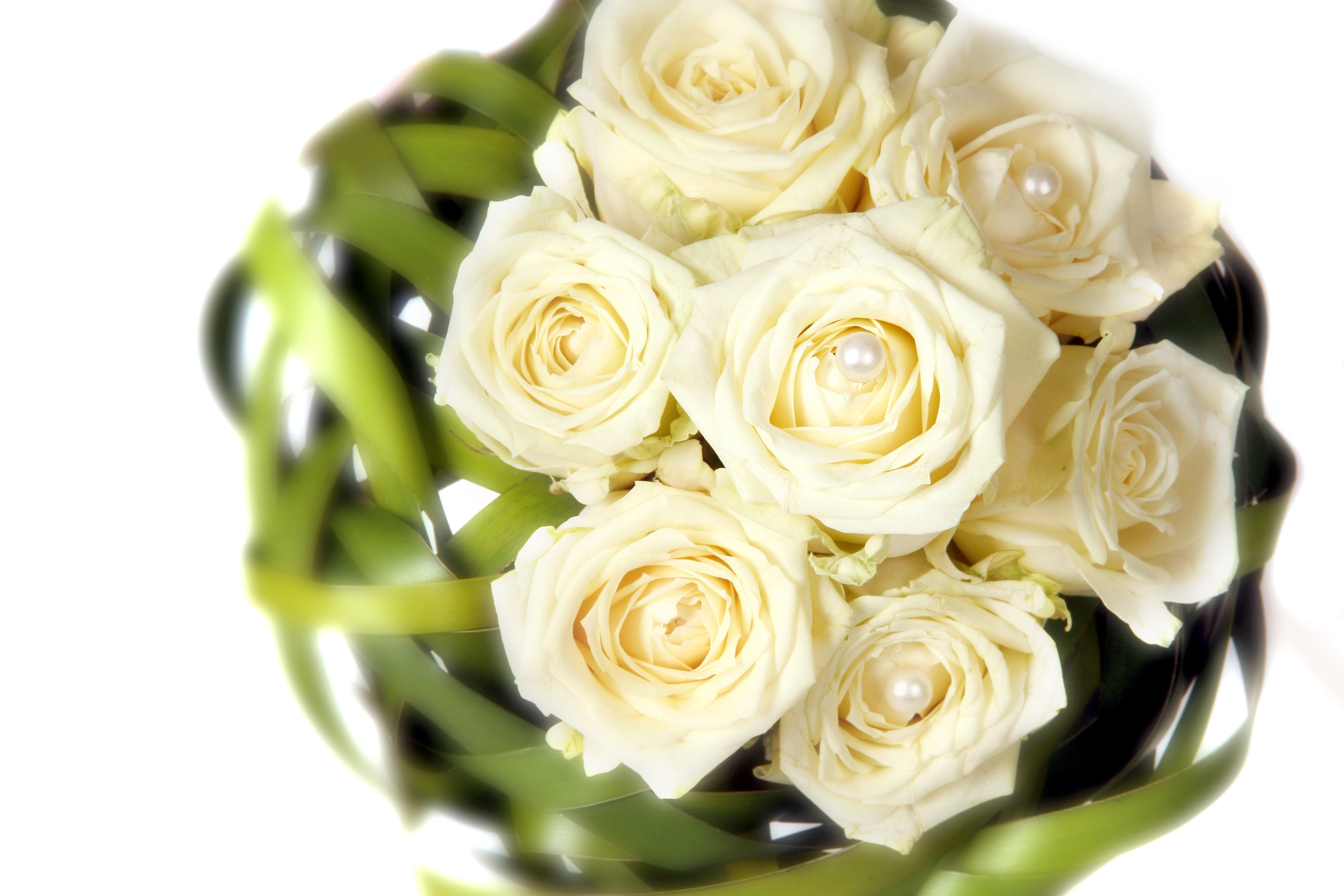 https://0501.nccdn.net/4_2/000/000/008/486/AdobeStock_28289346_k-3543x2362.jpg
