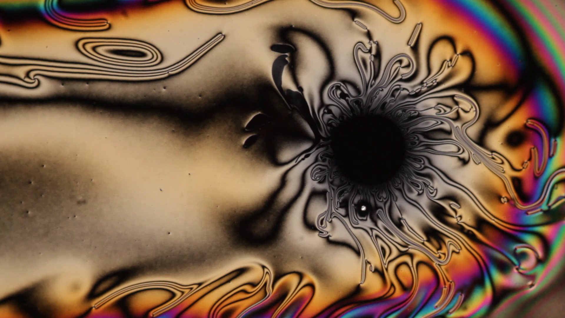 Defects in a passively driven nematic2