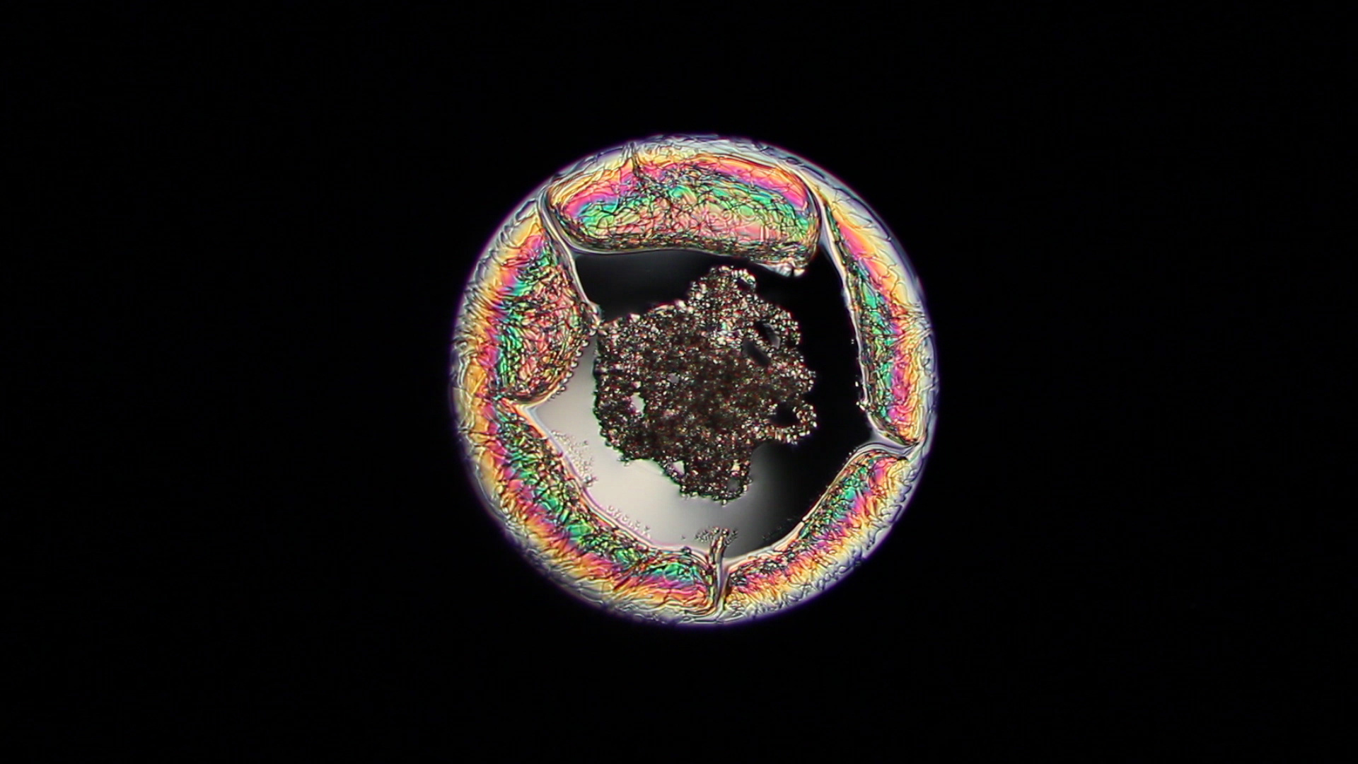 Drop of passively driven cholesteric