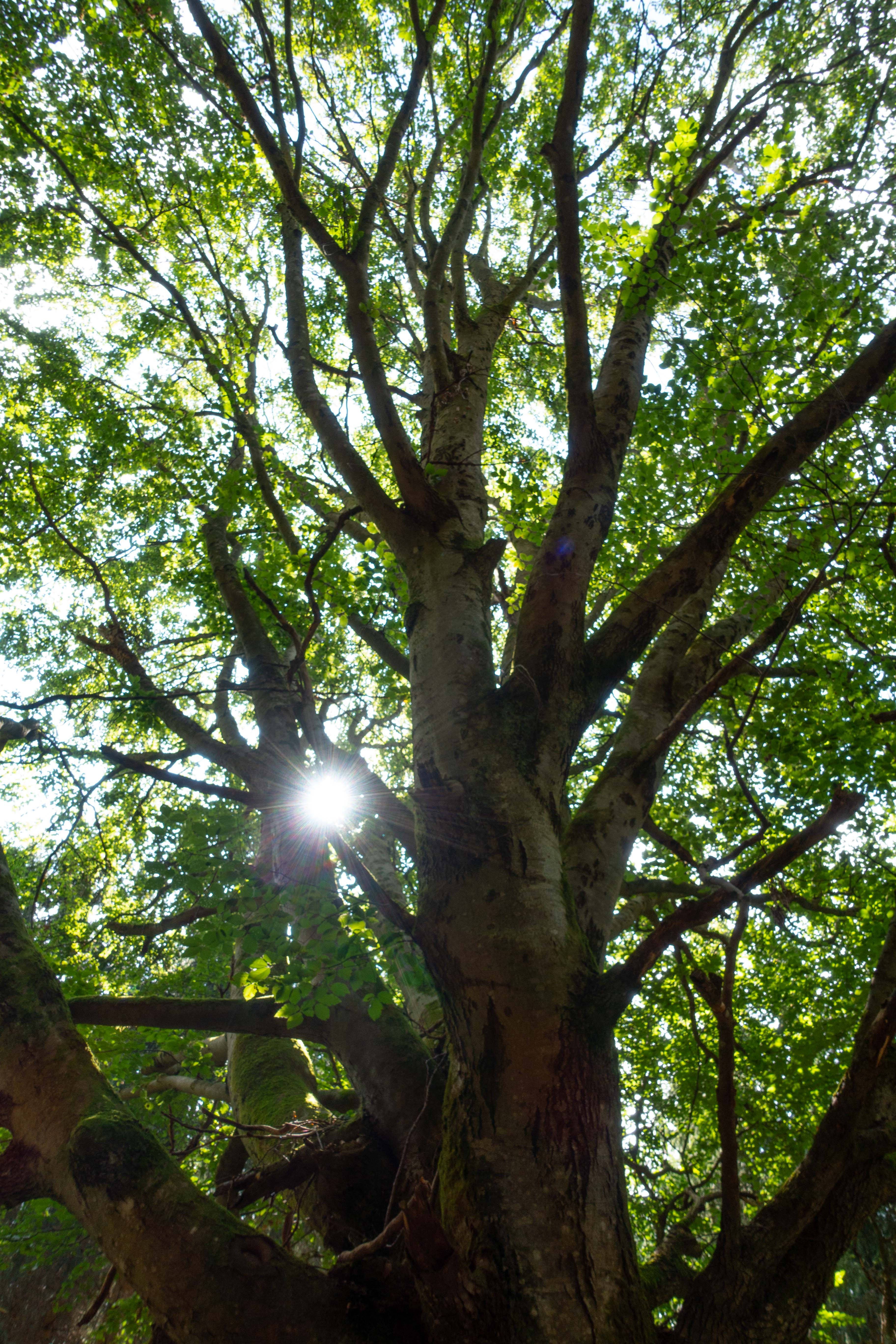 https://0501.nccdn.net/4_2/000/000/008/486/Lightroombearbeitung-00406-3648x5472.jpg