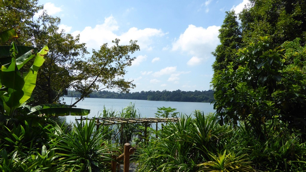 Der Zoo liegt in einem herrlichen Naturreservat