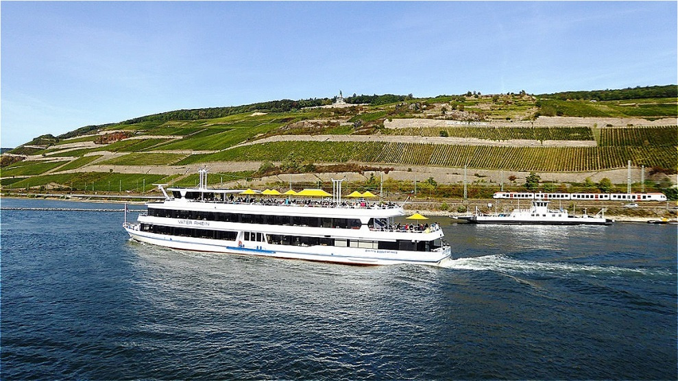 Der Rüdesheimer Berg ist nach Süden ausgerichtet