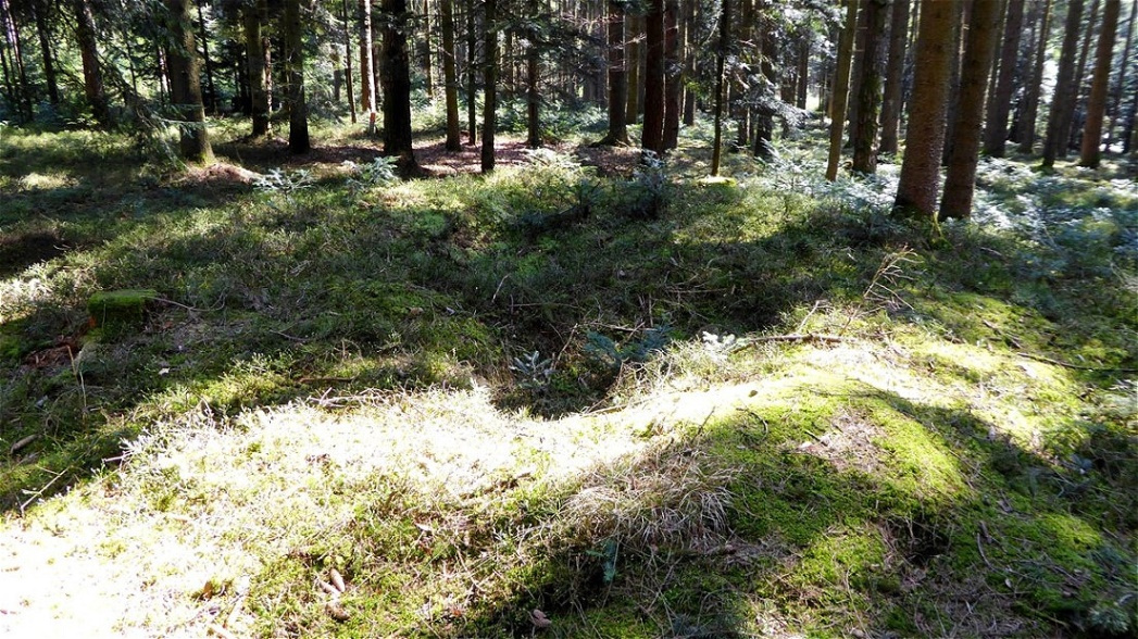 Geöffneter Grabhügel der Auerbach-Gruppe