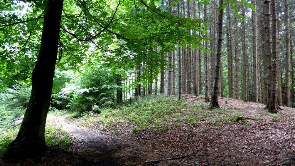 Großer Grabhügel - Südansicht