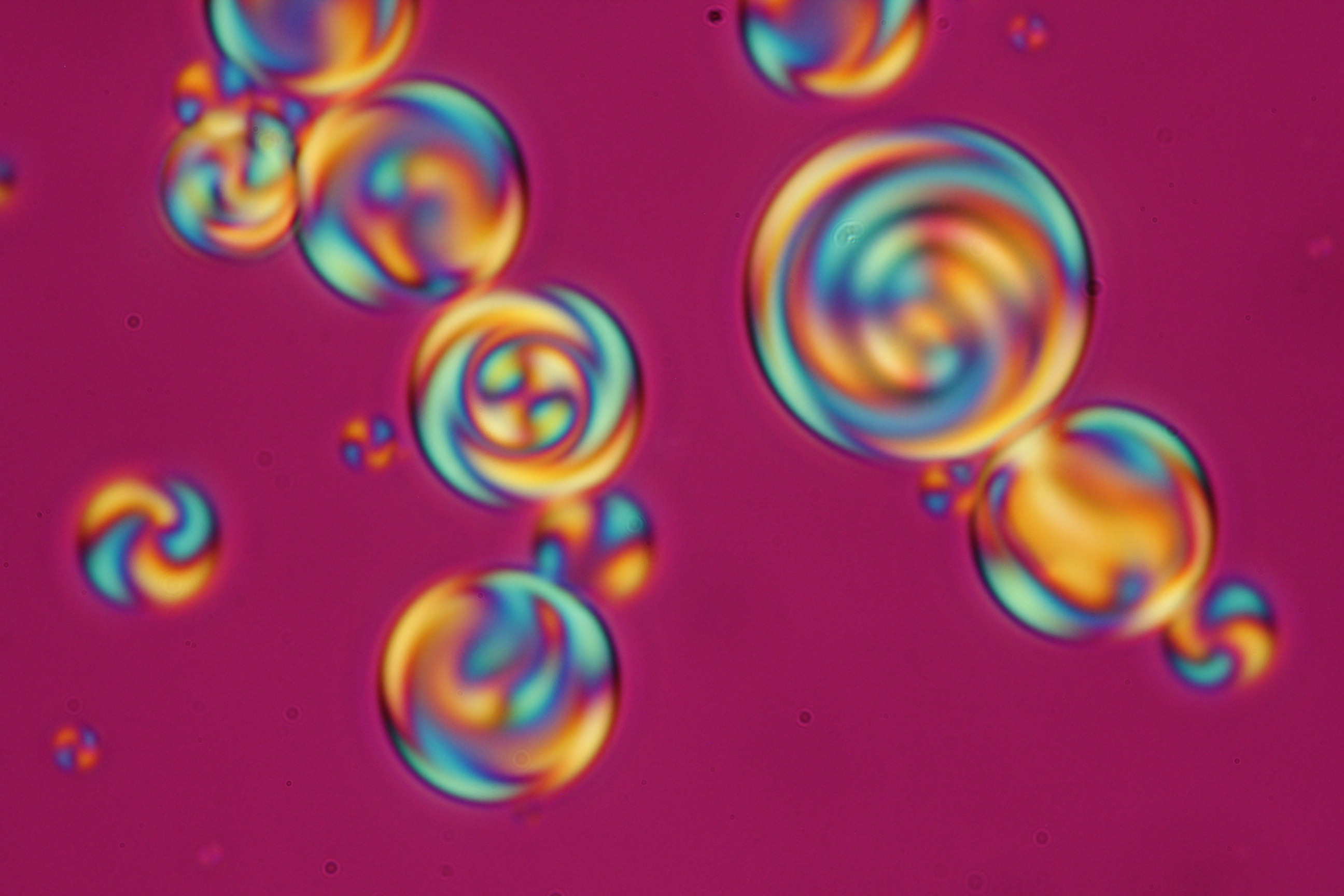 Structures in chiral nematic droplets with homeotropic anchoring.
