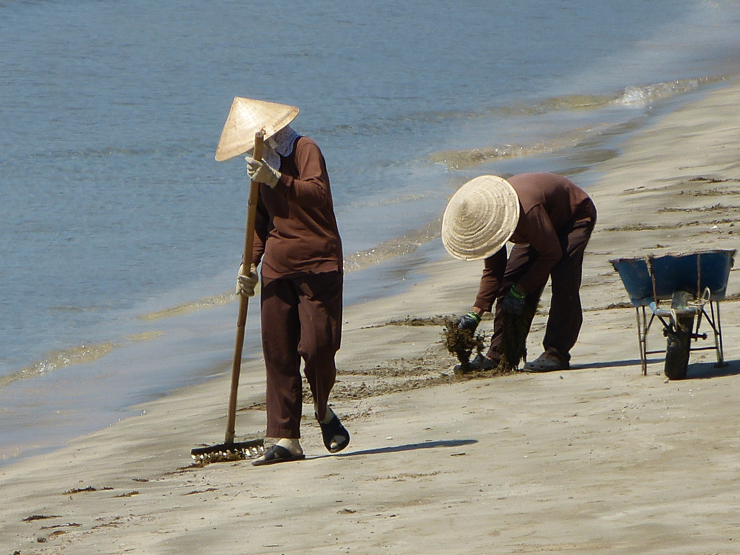 Commended: Beach Comber (John Gainham)