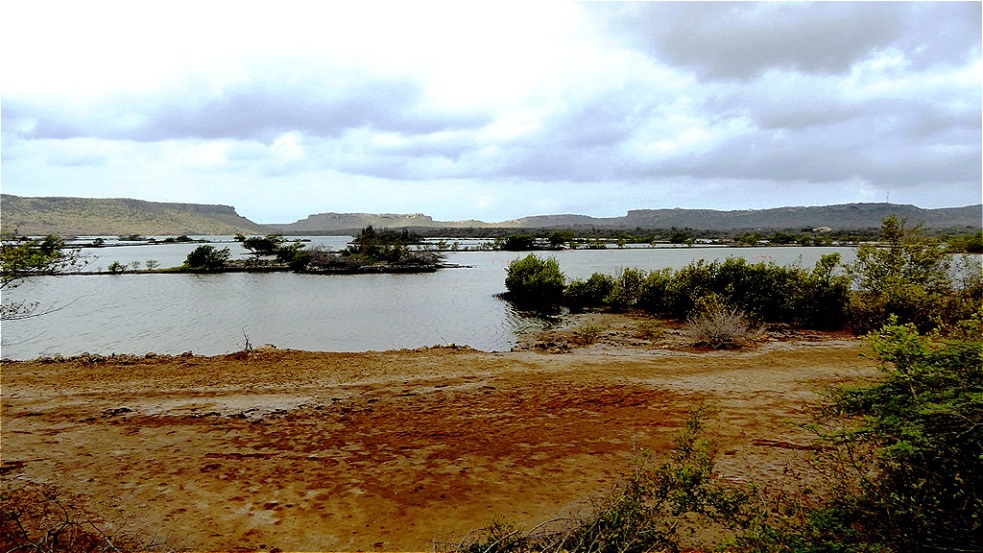 Salzfelder von "Jan Kok"