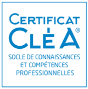 https://0501.nccdn.net/4_2/000/000/008/486/clea2.png