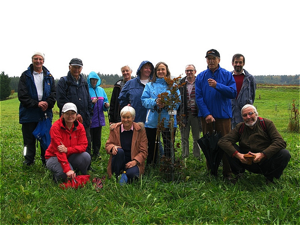 Im "Geburtenwald". Hier wird für jedes Neugeborene ein Baum gepflanzt !
