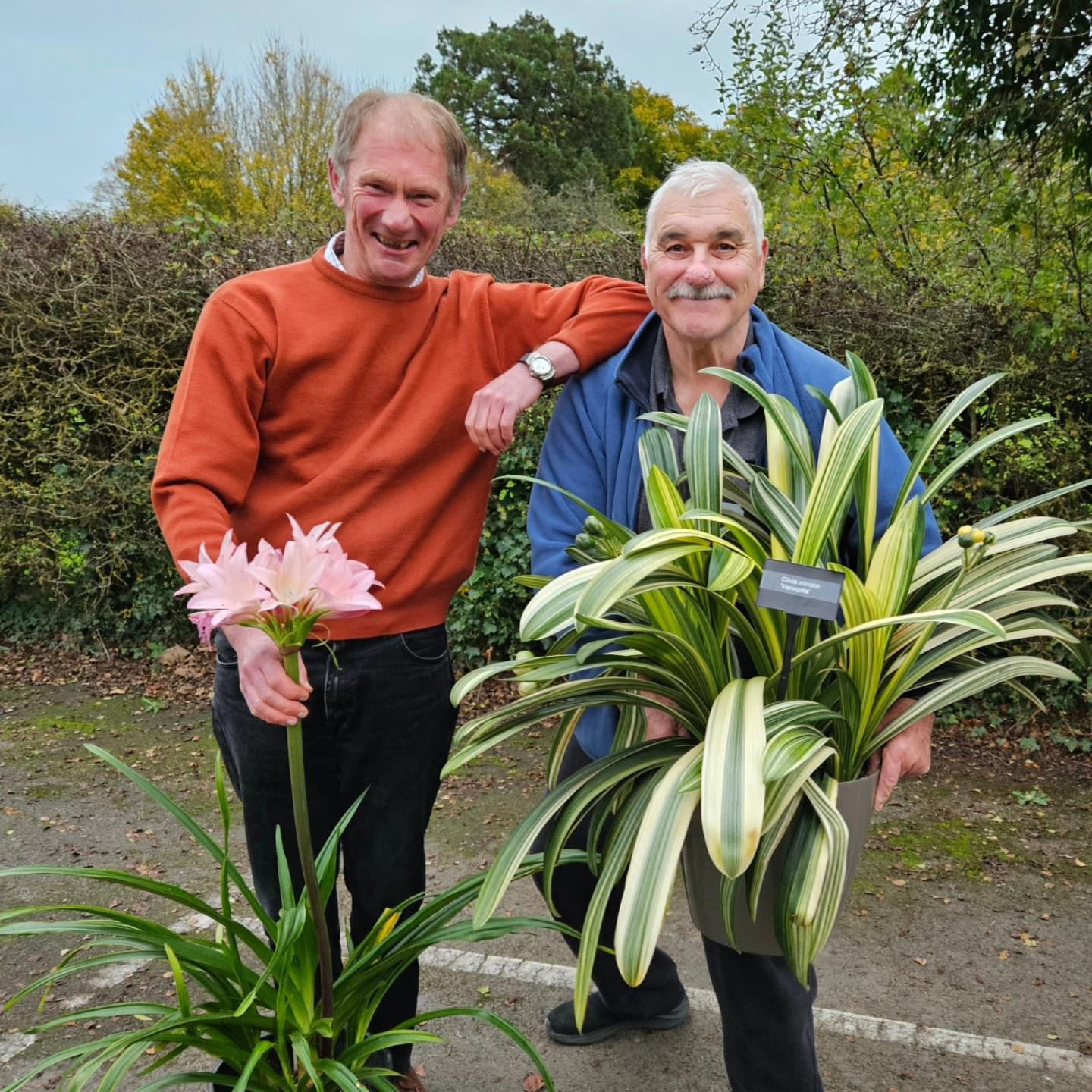 The joint Non-Nerine winning entries