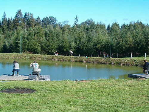 https://0501.nccdn.net/4_2/000/000/008/486/les---tangs-043-500x375-500x375.jpg
