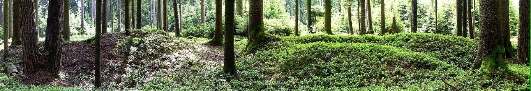 "Eingangspforte "