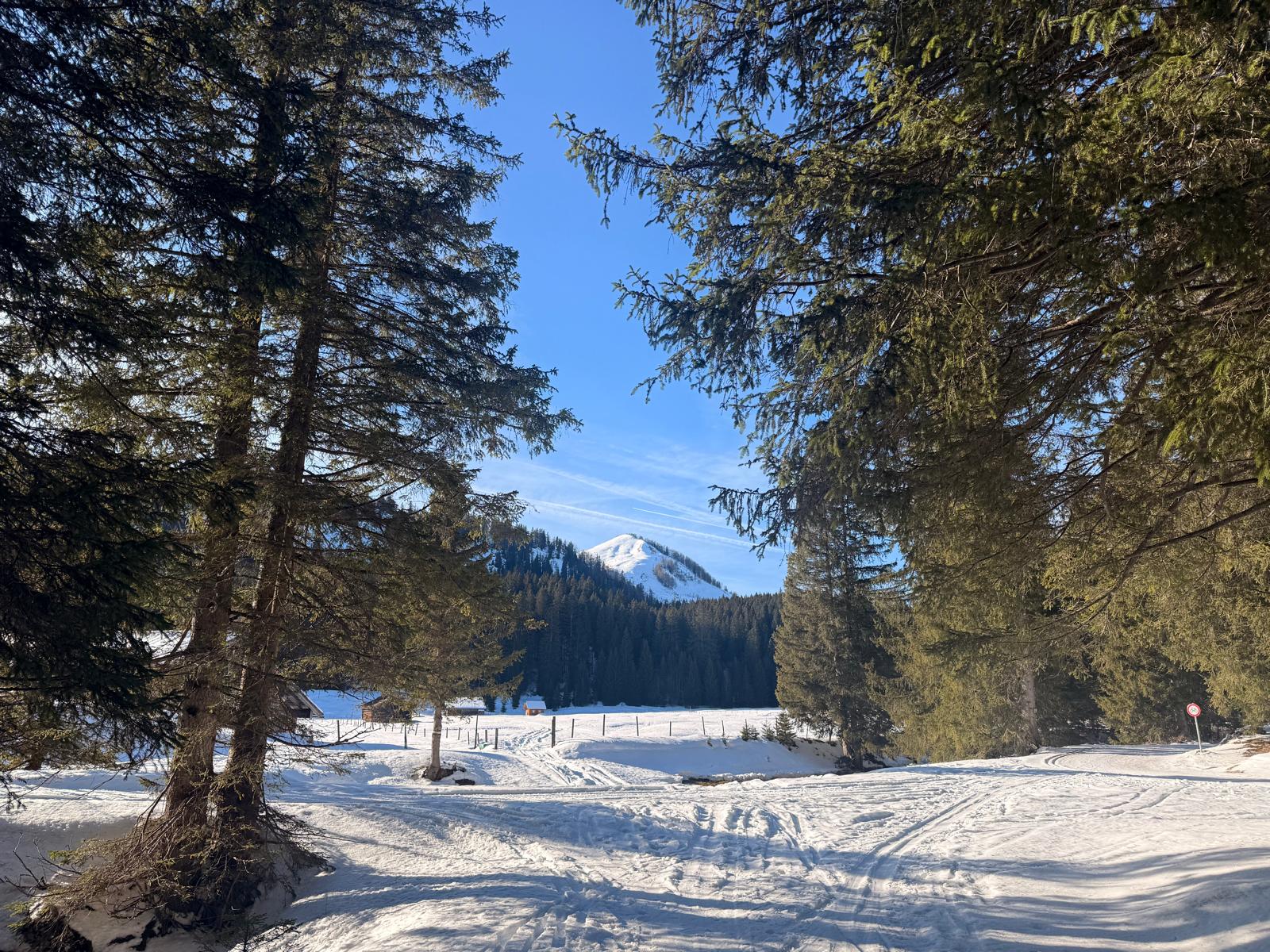 16. Jänner - Postalm