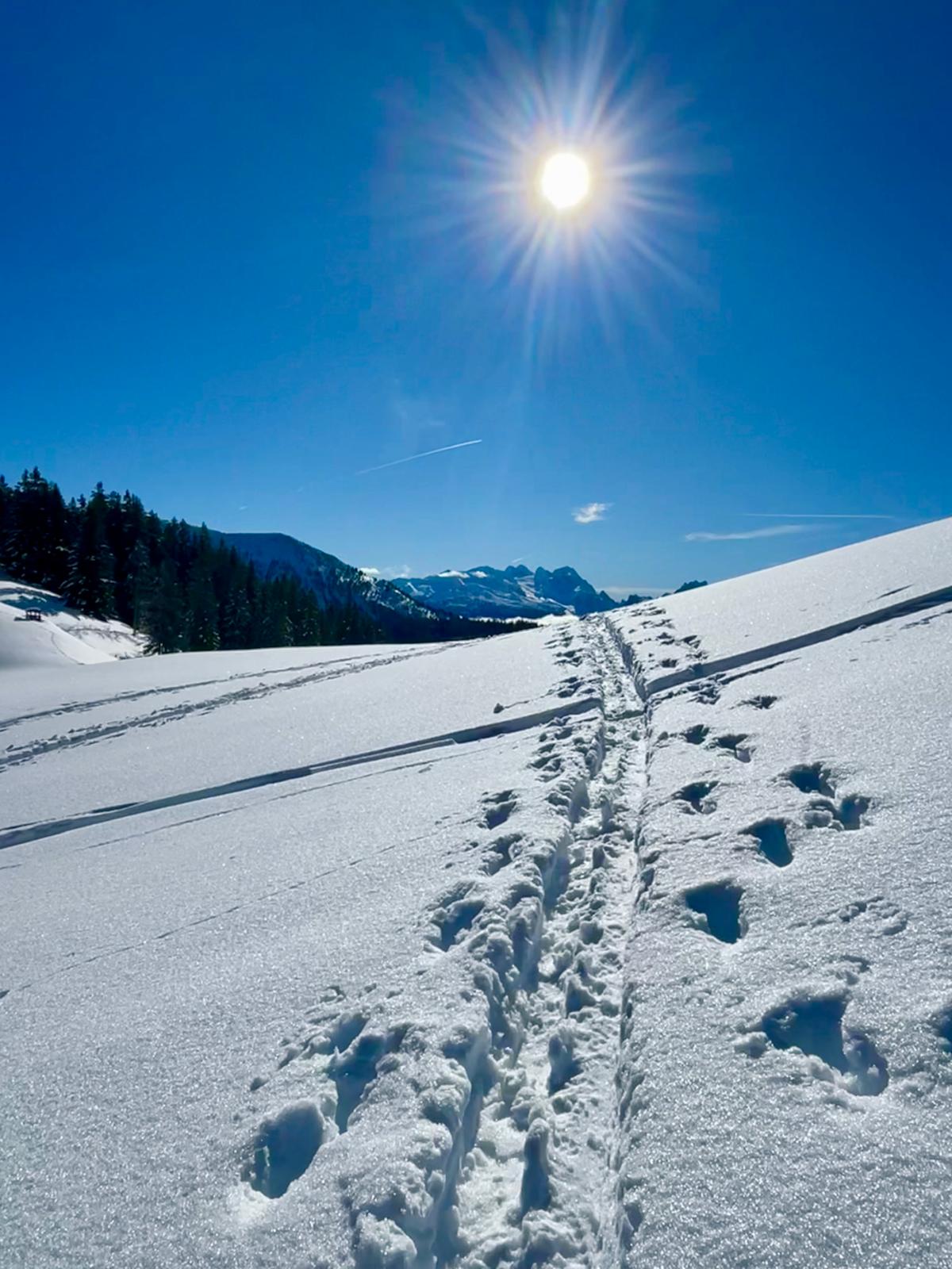 25. Februar 2026 - Postalm - Labenberg bei Traumbedingungen