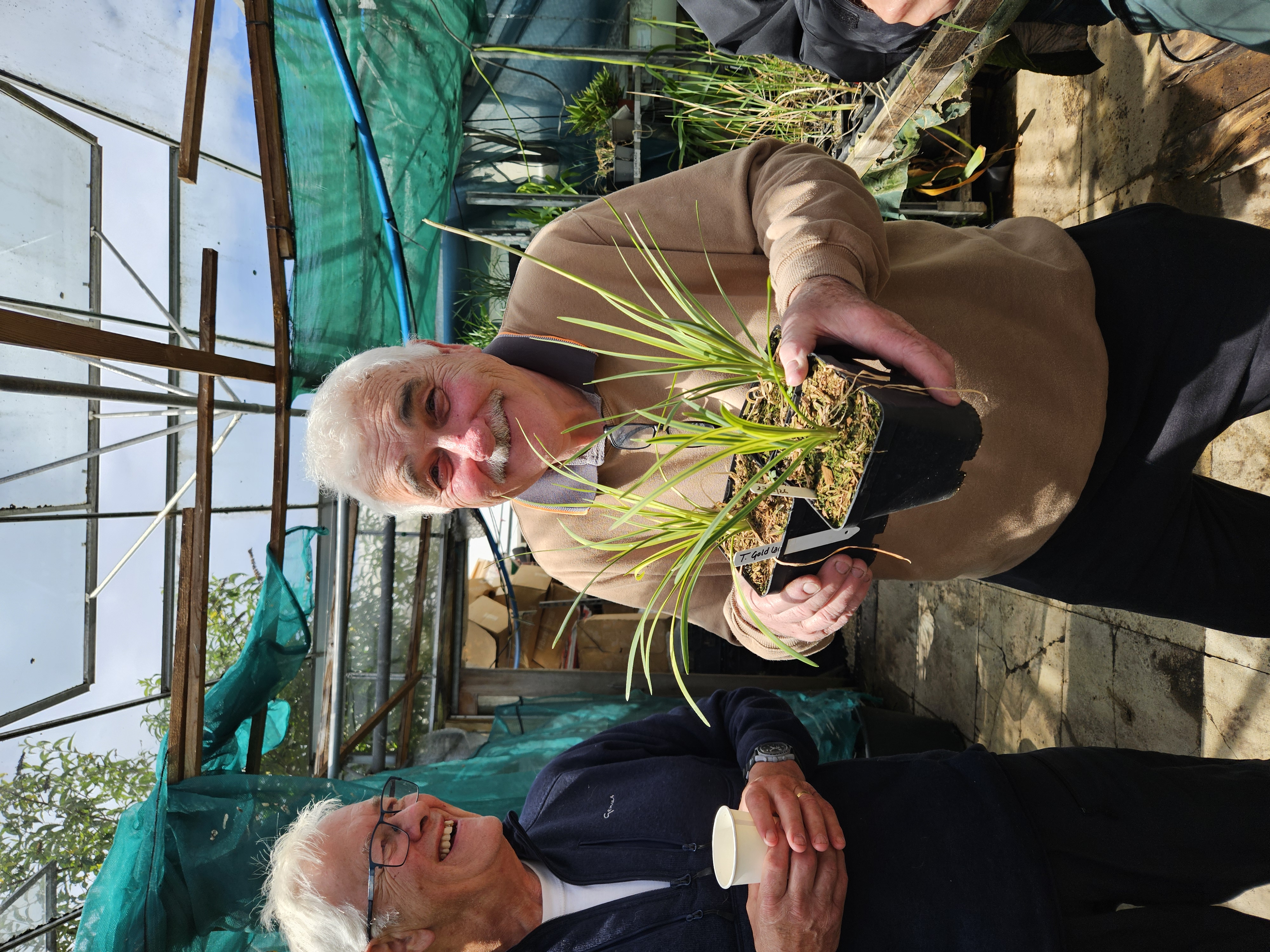 Steve Hickman with Tulbaghia Old Lace