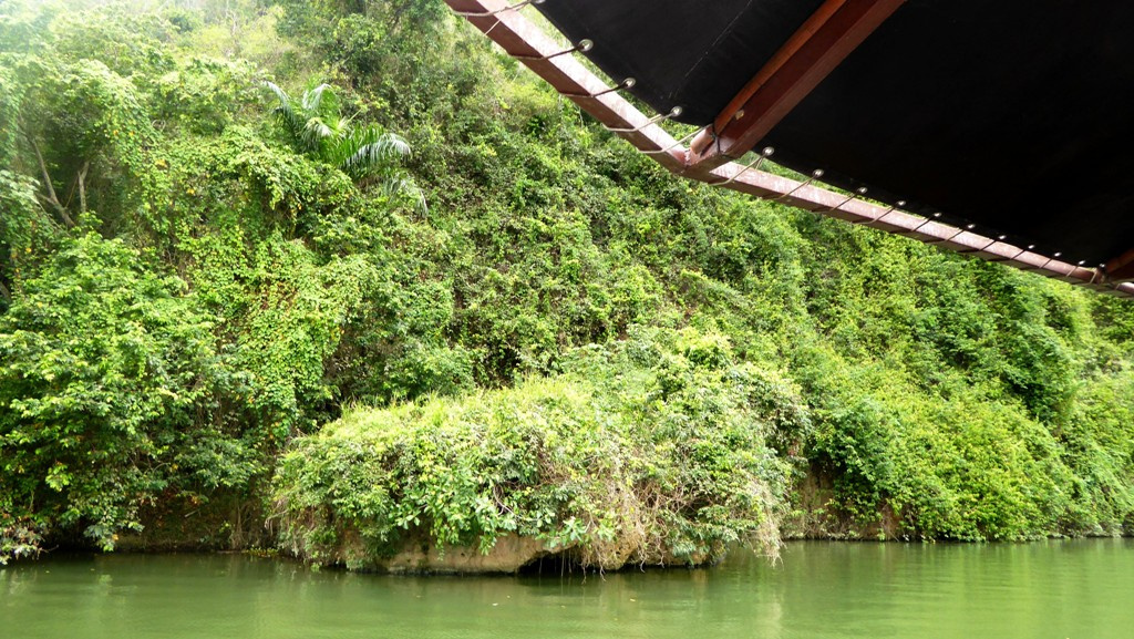 Undurchdringlicher Uferbewuchs