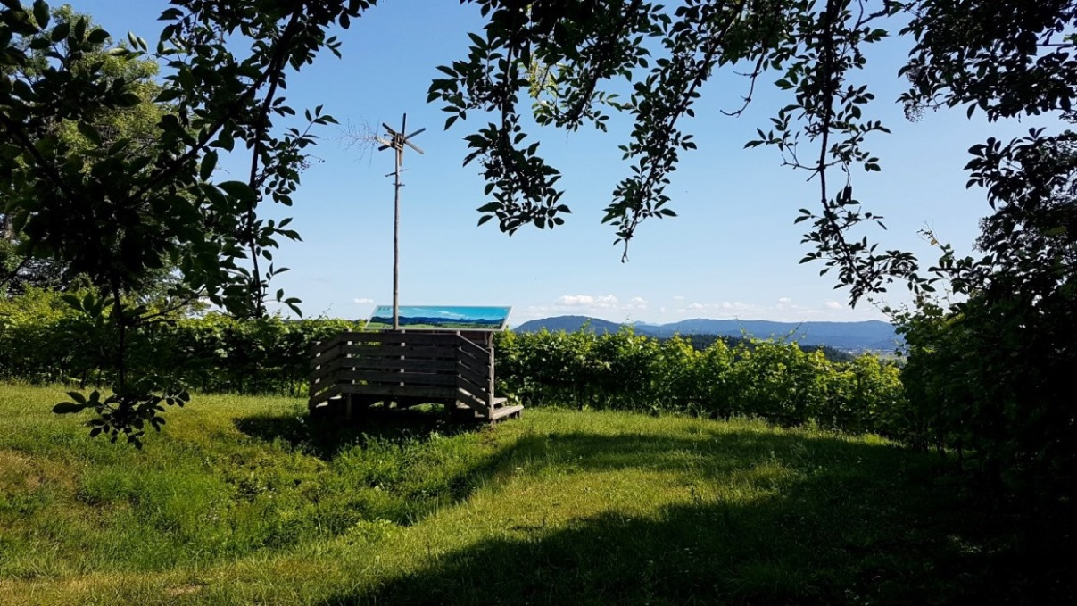 Blick aus dem Schatten