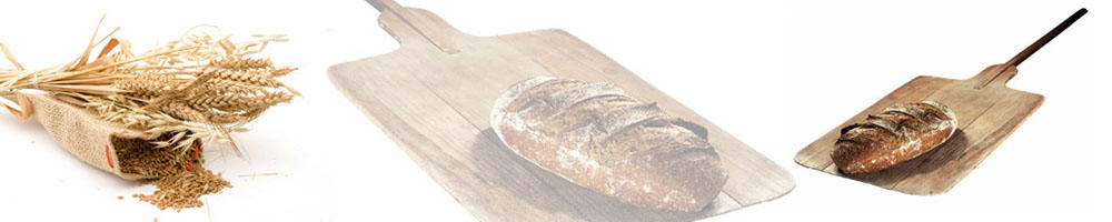 Kruh in klasje_ A 008