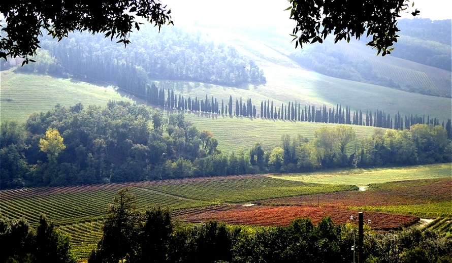 Typisches Landschaftsbild