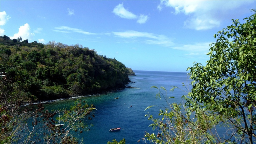 Ausblick auf die dichtbewachsene Küste