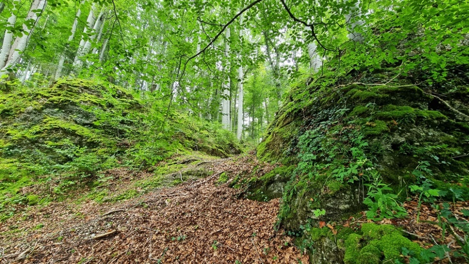 Hinauf zum großen Graben