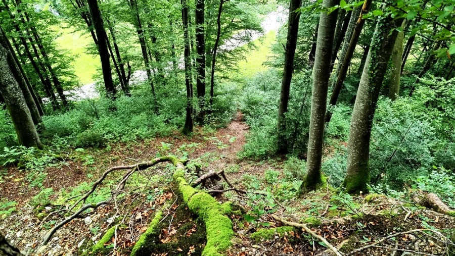 Tiefblick - Nordseite