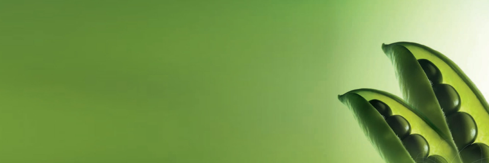 <h2>Prodajni program</h2>
<h3>Mineralna gnojila  //  
Krma za ribe  //  
Šarenka</h3>