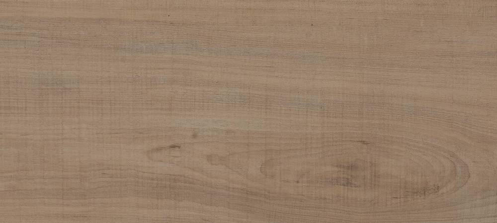 Ontano EC4033 - Doga 178,1 x 1244,6 mm